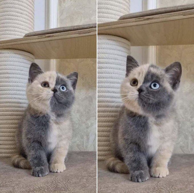 ♡ (@iskypics) on Twitter photo 