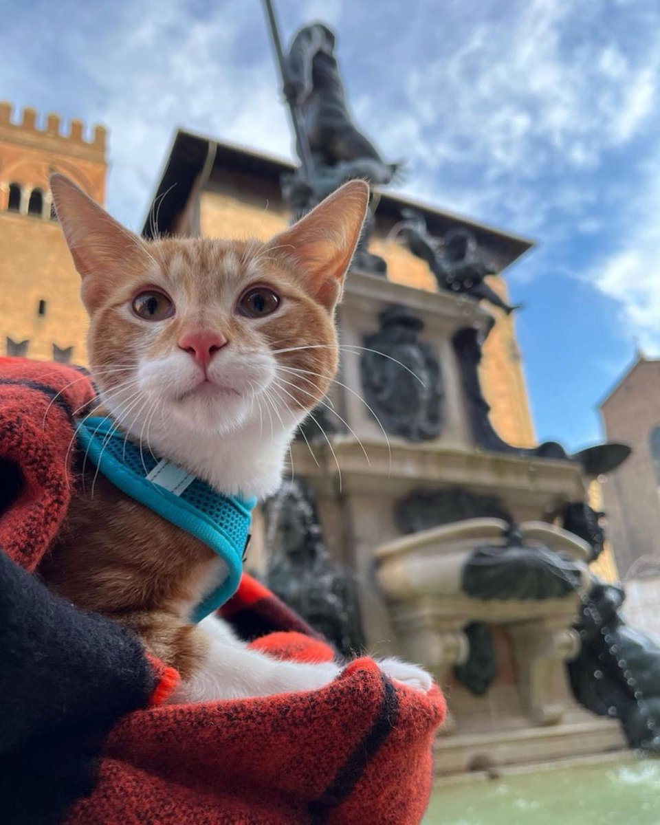 外の空気は最高だね☺️ @italia @turismoER from @BolognaWelcome Thanks to 😘📸 https://t.co/kJ4xc11Zqm