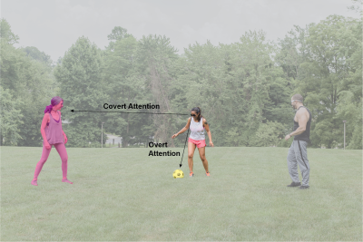 Research led by <a href="/NatEyeInstitute/">NEI</a> Intramural:

Microsaccades boost or diminish the strength of brain signals underlying attention, but movements themselves are not drivers of those brain signals. 

<a href="/gongchen_yu/">Gongchen Yu</a> @brain_alive <a href="/Leorkatz/">Leor Katz</a> Rich Krauzlis

<a href="/eLife/">eLife - the journal</a>: bit.ly/3NpfESo