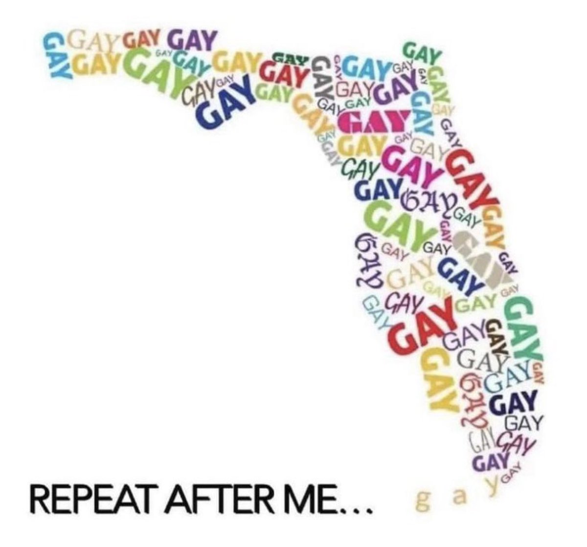 I will not stop saying GAY #DontSayGay