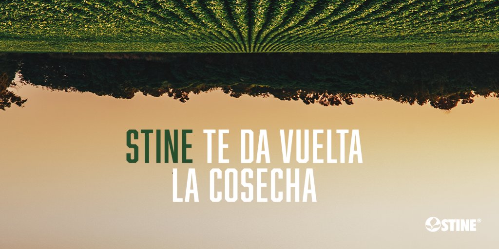 En STINE no creemos en las rachas, pero si venís con una mala, con nuestras semillas te damos vuelta la cosecha. Así que si querés que tu campo dé un giro, ya sabés, #StineTieneRinde