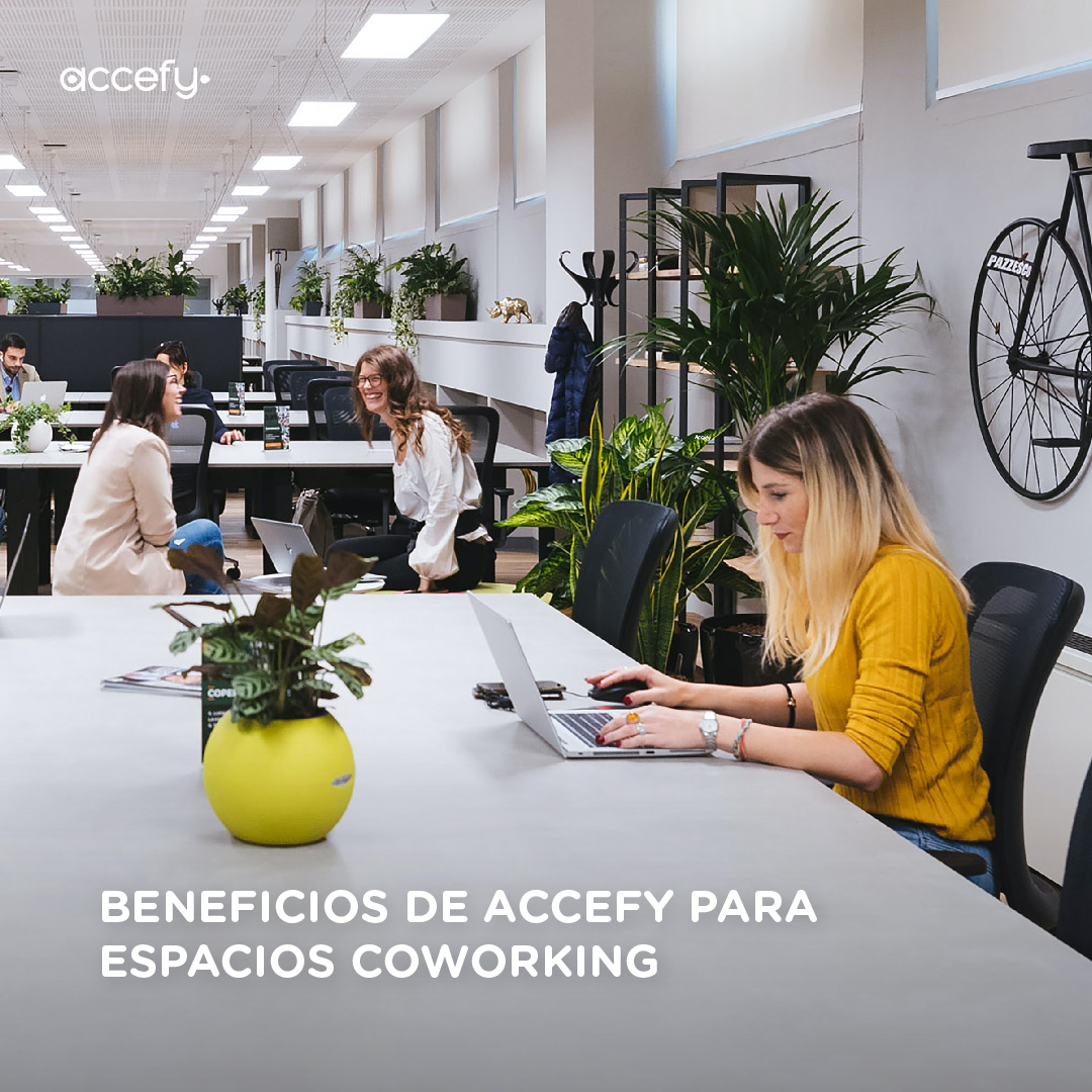 Accefy tweet media