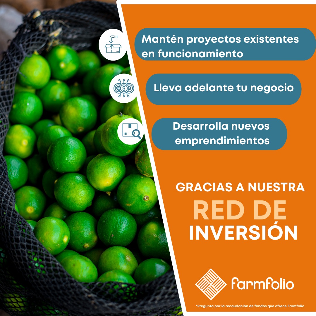 farmfoliocol's tweet photo. Con la red de inversión de Farmfolio, empresarios en la agroindustria pueden encontrar el capital que necesitan para: 👇🏼

💡Llevar adelante a sus negocios

💡Desarrollar nuevos emprendimientos

💡Mantener proyectos existentes en funcionamiento

#RedDeInversion #Inversion #Agro https://t.co/RzPcmEb0Ff