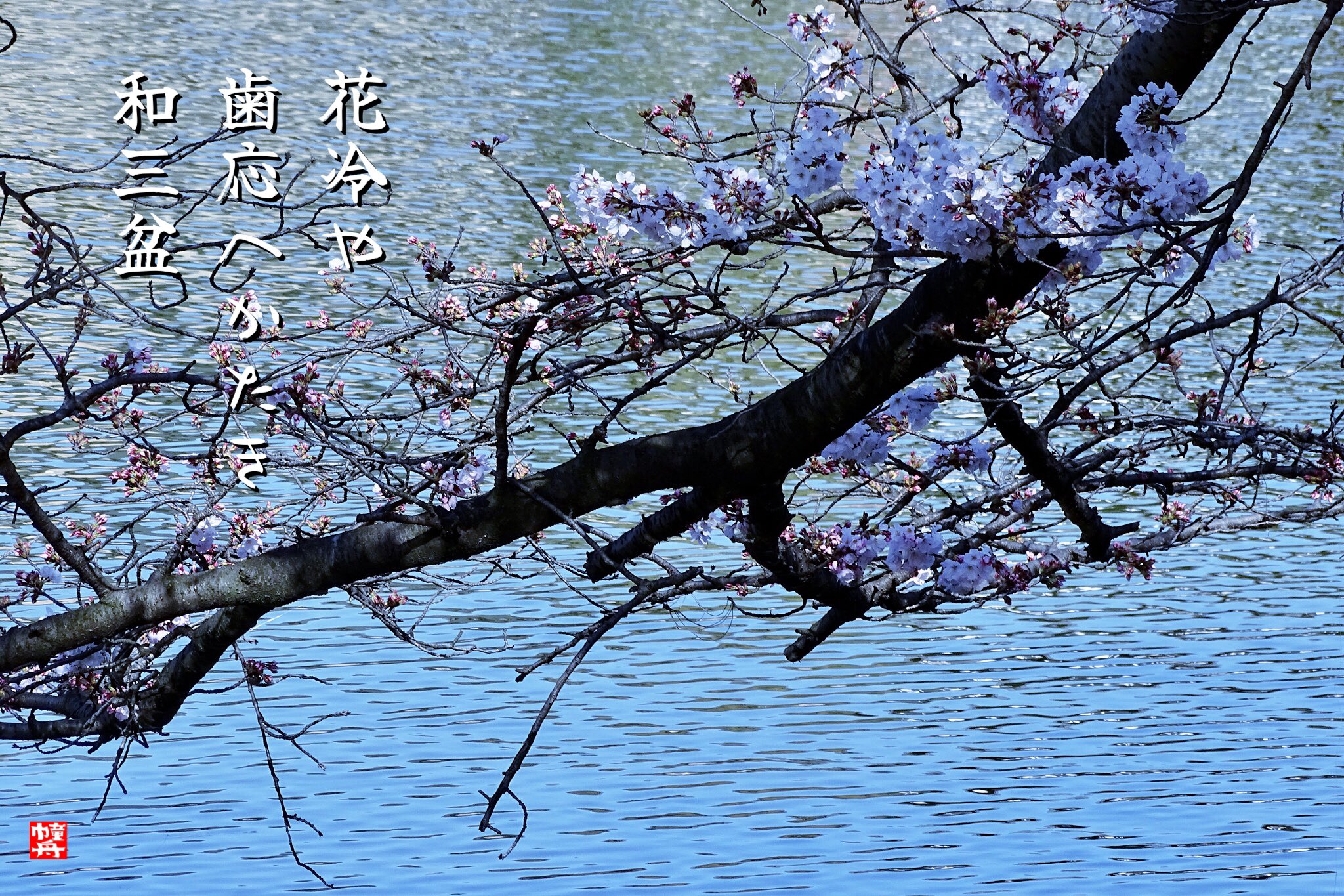 花冷 Twitter Search Twitter
