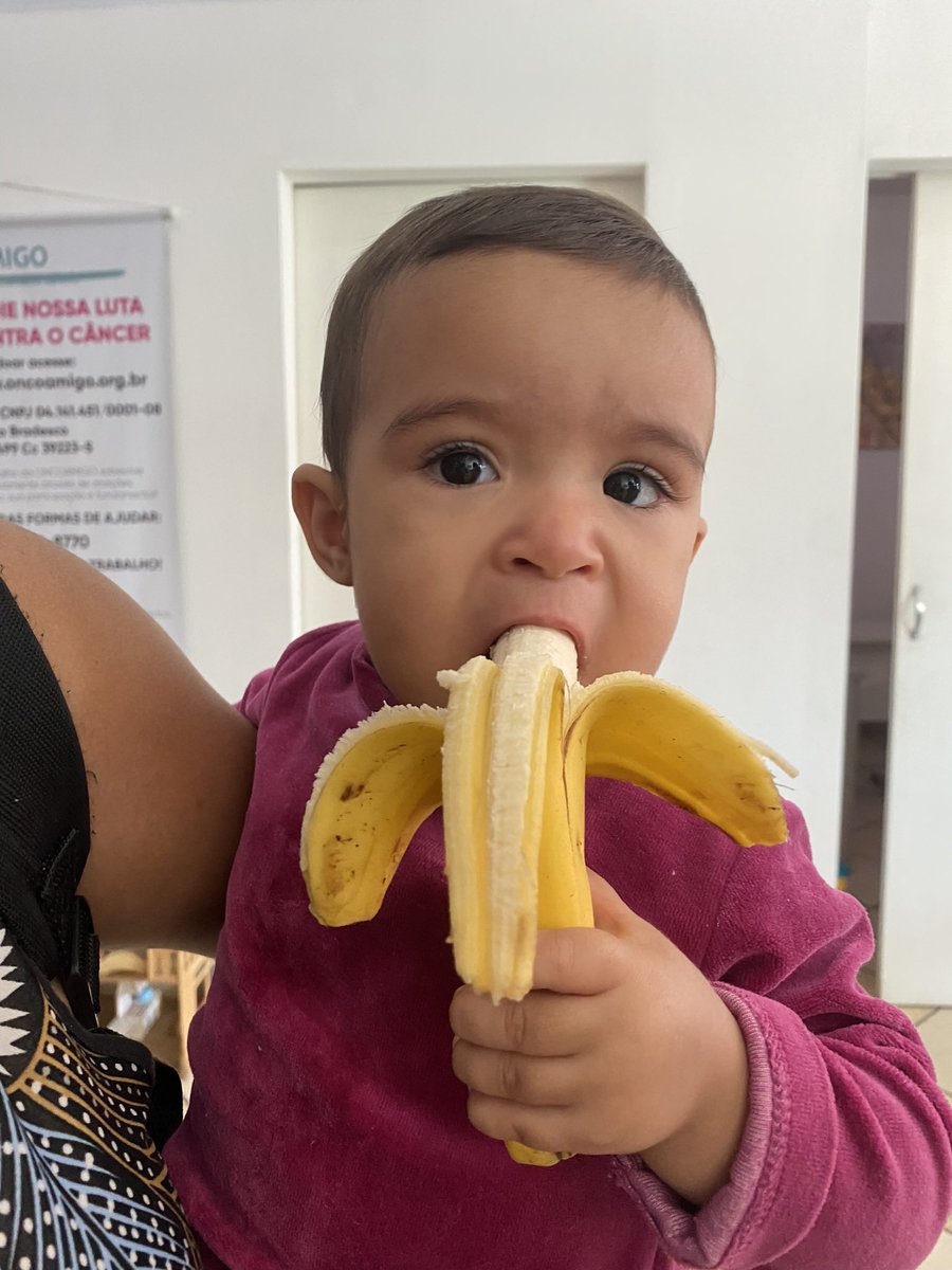 oncoamigo's tweet photo. Olha só a nossa bebê Ketlyn, super saudável, comendo a sua bananinha! 🍌😄 Apoie nossa luta contra o câncer! Doe o quanto puder através de PIX: oncoamigo@oncoamigo.org.br ou através do site: https://t.co/1JgZfjtaTJ https://t.co/gAcqG8sPMW