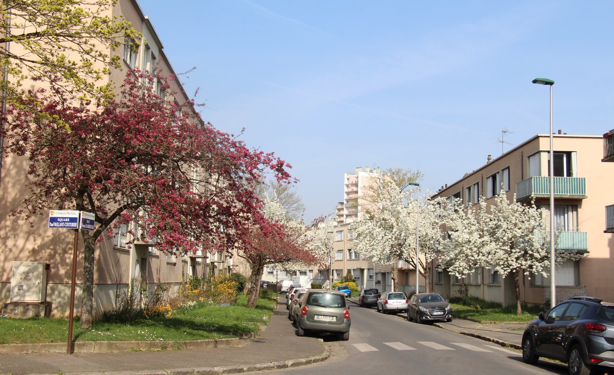 A Châtenay-Malabry, la #ButteRouge une belle cité-jardin moderne au printemps et le maire veut démolir cet ensemble avec l'aide de l'Etat. Quelle honte !!! <a href="/SPPEF/">Sites & Monuments</a> <a href="/Prefet92/">Préfet des Hauts-de-Seine 🇫🇷🇪🇺</a> <a href="/afpfr/">Agence France-Presse</a> <a href="/docomomo/">ELIZA</a> <a href="/ltdla/">La Tribune de l'Art</a> <a href="/FPEnvironnement/">Fédération Patrimoine-Environnement</a> <a href="/FneIDF/">France Nature Environnement Île-de-France</a>