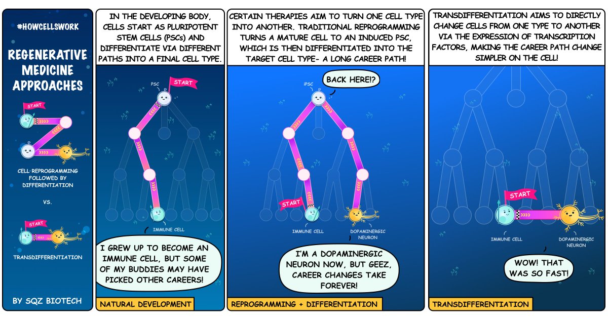 Learn more about the science behind <a href="/SQZBiotech/">SQZBiotech</a>’s <a href="/NIH/">NIH</a> grant to develop a novel cell therapy for the potential treatment of #Parkinsonsdisease in this #HCW episode on regenerative medicine approaches: