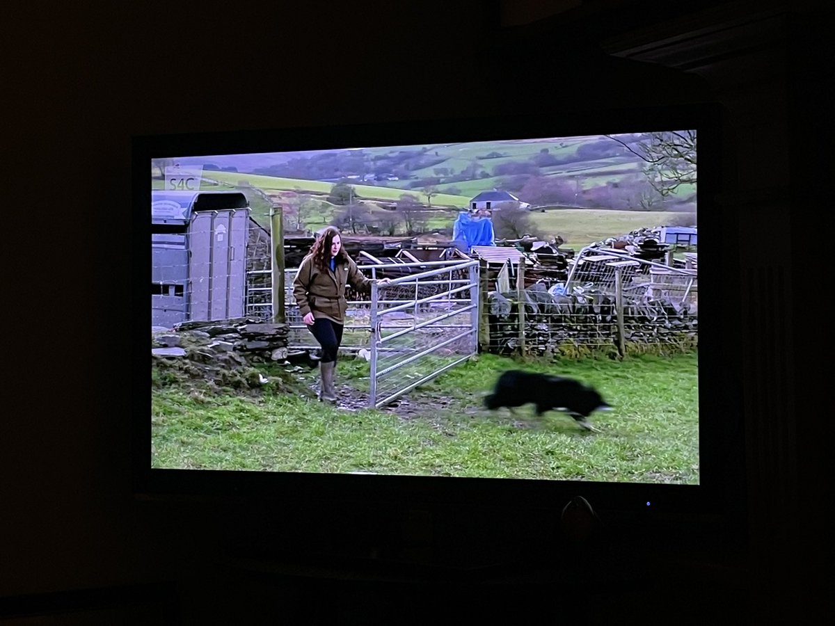 Dyddgu Morgan-Hywel tweet media