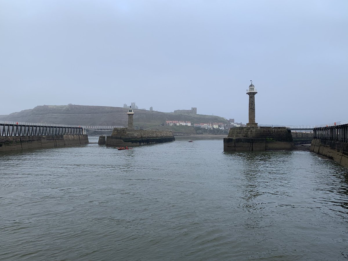 Annika Dowson tweet media