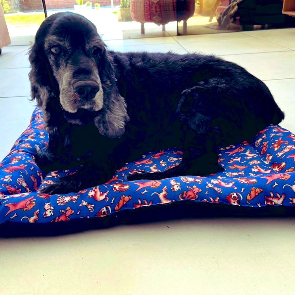 Emigdio José Benítez Troche (Emigdio_Py) / Twitter