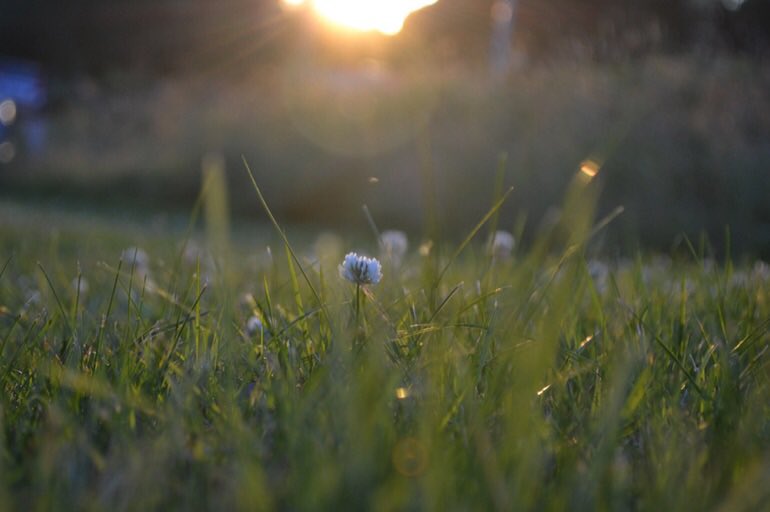 Little Green Space 🦋 tweet media
