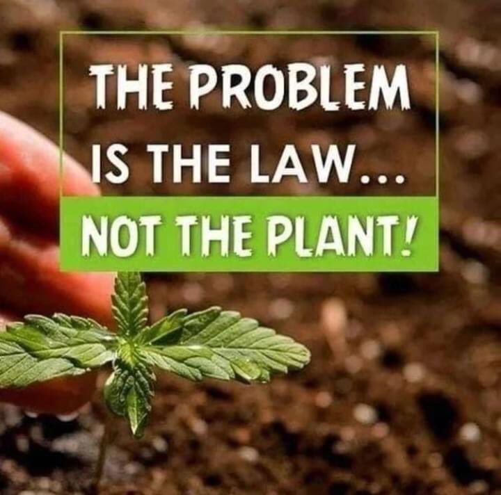 Let’s support this 👇🏼