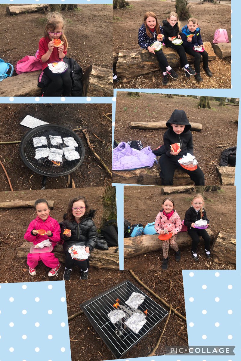 LanarkPrimary's tweet photo. Week 4 of Fire Club and everyone had a ball. Pizza was on the menu today and it tasted delicious! We also had the opportunity to try out the new resources for the sandpit and mud kitchen! 👏#SpringBackIntoClubs https://t.co/u8MlZODDpY