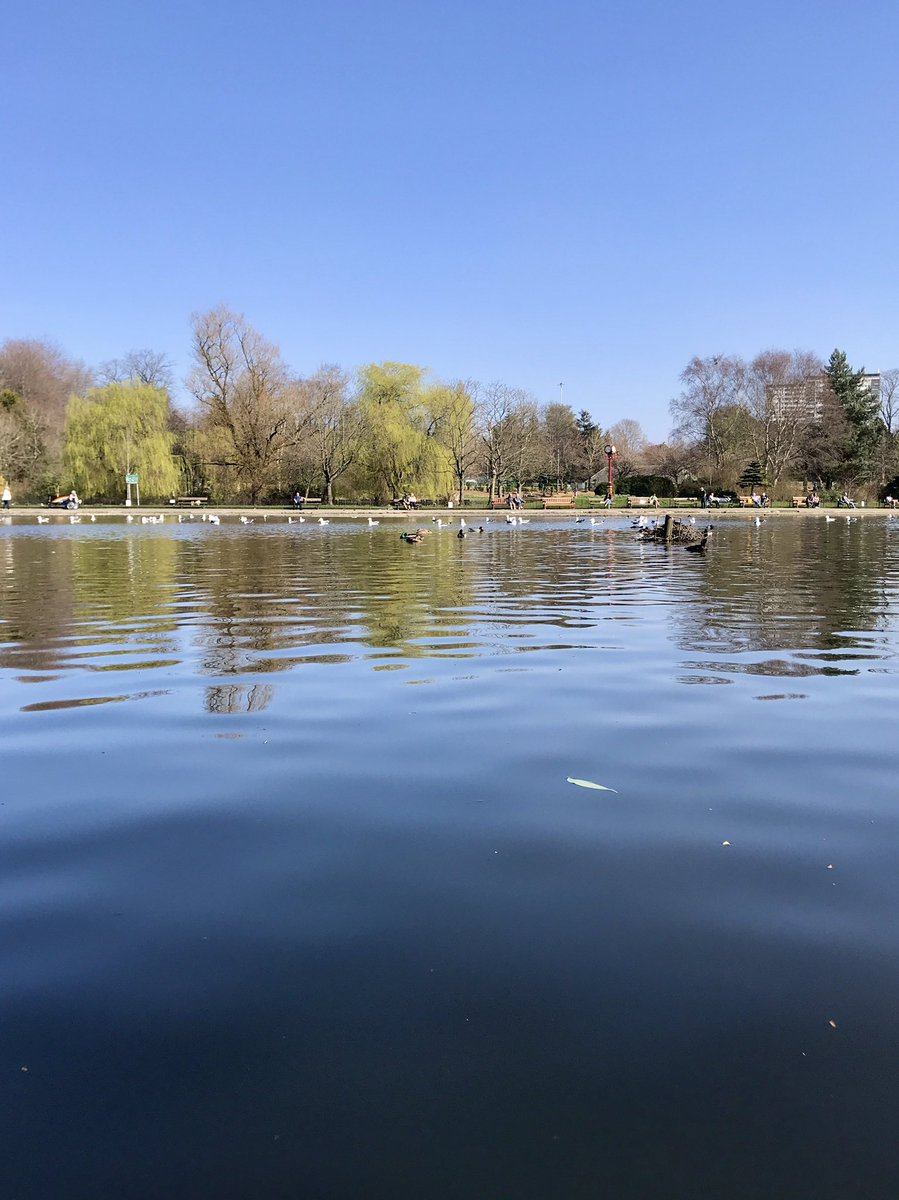 DReyesv's tweet photo. 📌 Rides along #VictoriaPark #Glasgow
•
•
•
#Scotland #UK #VisitScotland #StrathLife #PhDLife #PhDChat #photooftheday #nature #spring #park #trees #sky #reflection #water #blue #bike #biking #bikeride #cyclying https://t.co/ptT3jObMtK