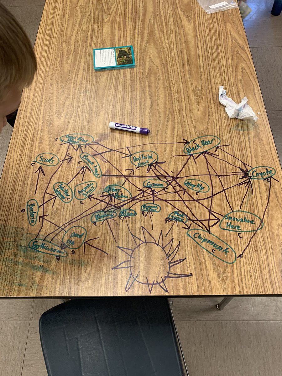 MrErmer's tweet photo. Creating food webs for a woodlands ecosystem. First try ➡️ second try. Student’s learned that organization is key! #ScienceTwitter https://t.co/IJm8jTwP3R