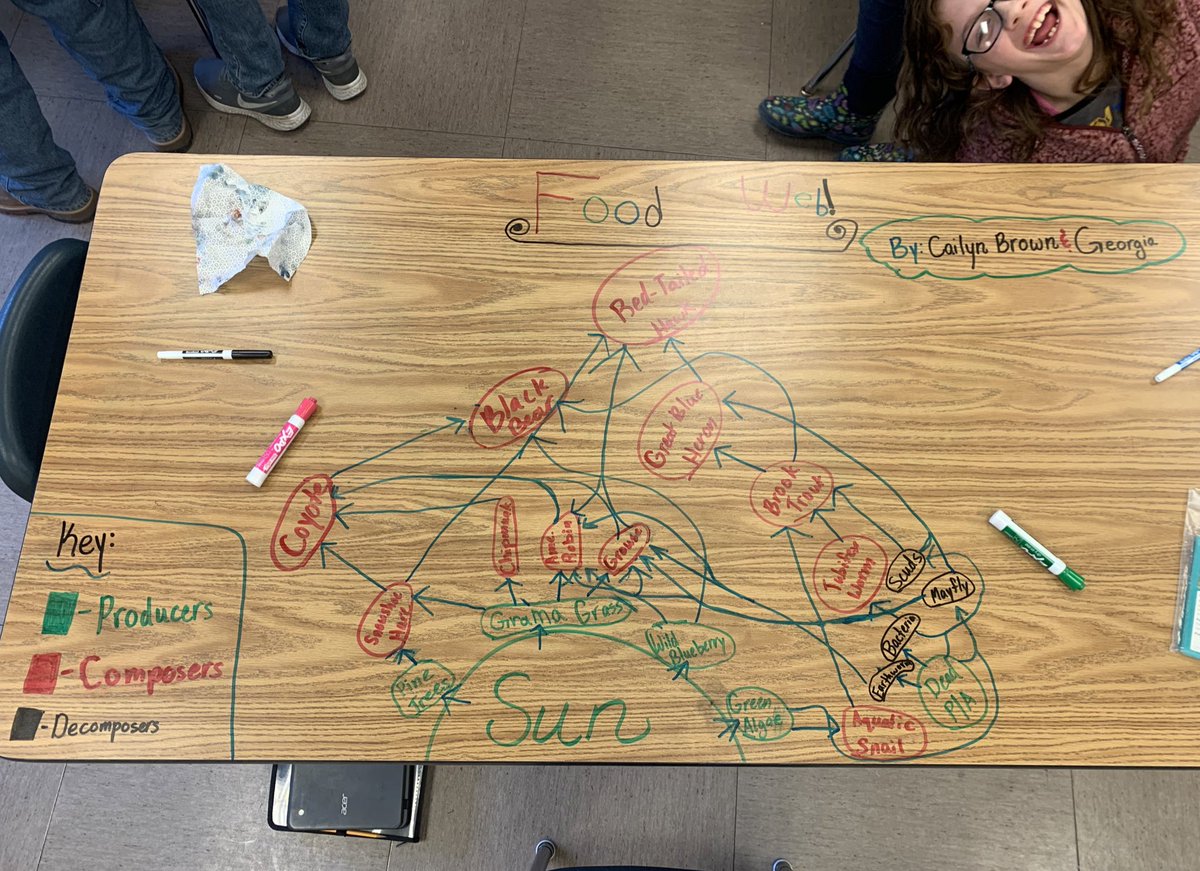 MrErmer's tweet photo. Creating food webs for a woodlands ecosystem. First try ➡️ second try. Student’s learned that organization is key! #ScienceTwitter https://t.co/IJm8jTwP3R