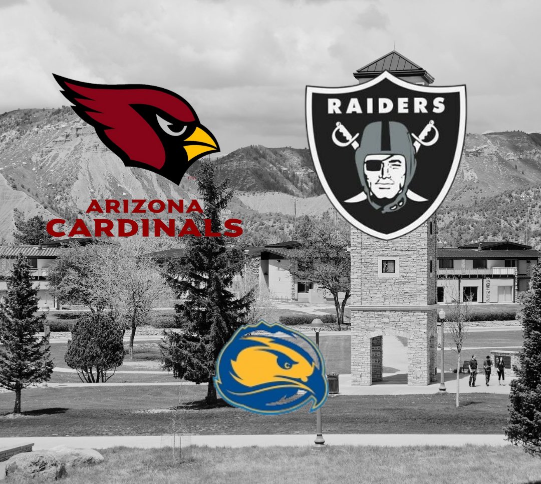 FLC Football tweet media