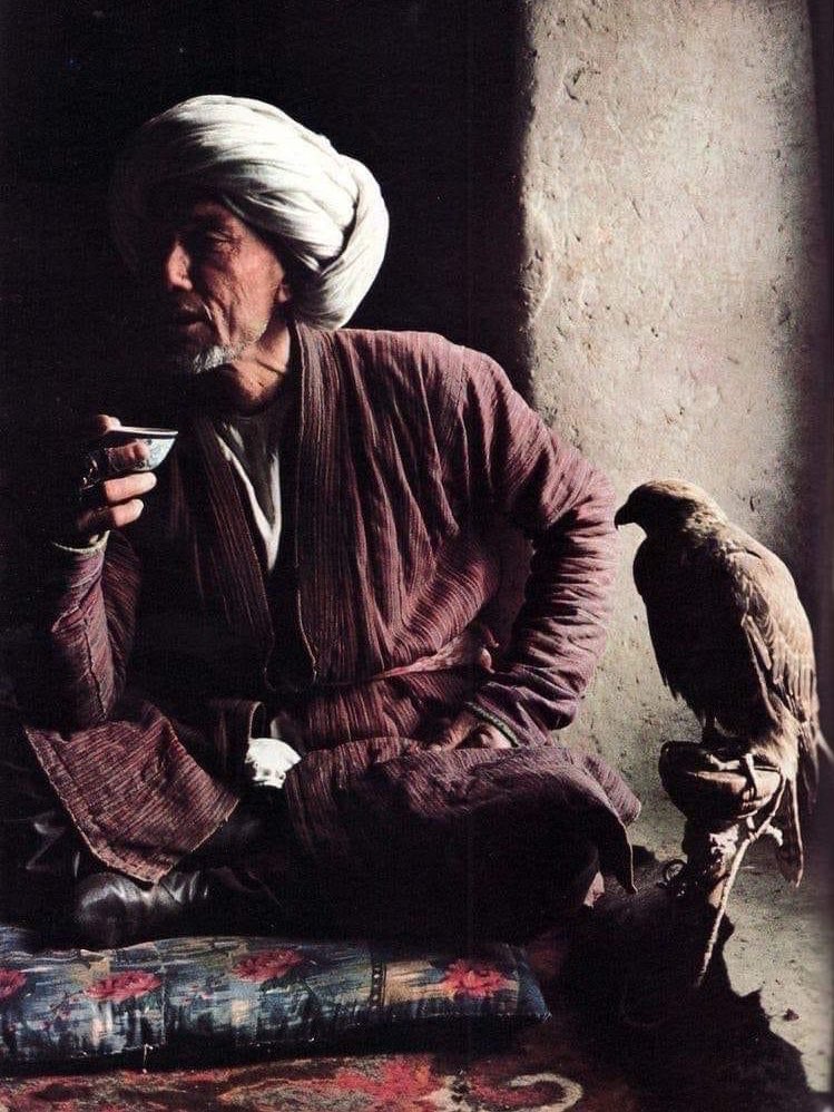 ๑۩ غليص المرادي ۩๑ tweet media