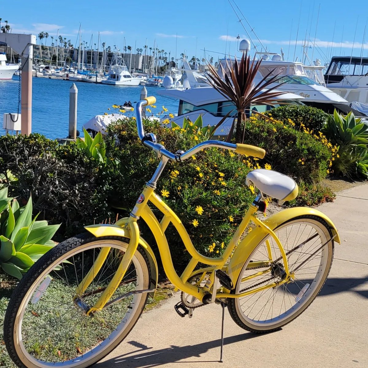 RideSchwinn's tweet image. Listen... it's yellow for me today (don't tell pink) 🤫🚲💛. You can't cruise around a beach town without this @RideSchwinn beauty #yellowmellow when off duty as a travel nurse. All I can say is to explore, explore, and explore more." - 📷 @pinknecha⁠
⁠