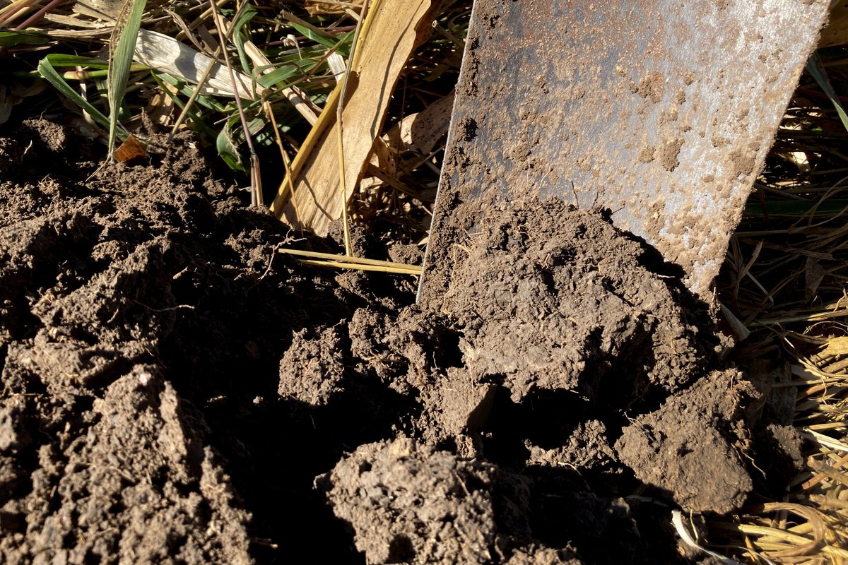 MNBWSR's tweet photo. Soil health grant application period opens to #SWCDs, #WatershedDistricts, #Minnesota counties, #WMOs, municipalities w/approved water management plans. Goal: Resilient landscapes. Deadline: 05/09/22. #MnBWSR details, link to apply: https://t.co/L4dS1OnR96 @MnSWCDs @mnwd46 https://t.co/qUPtXuvAtk