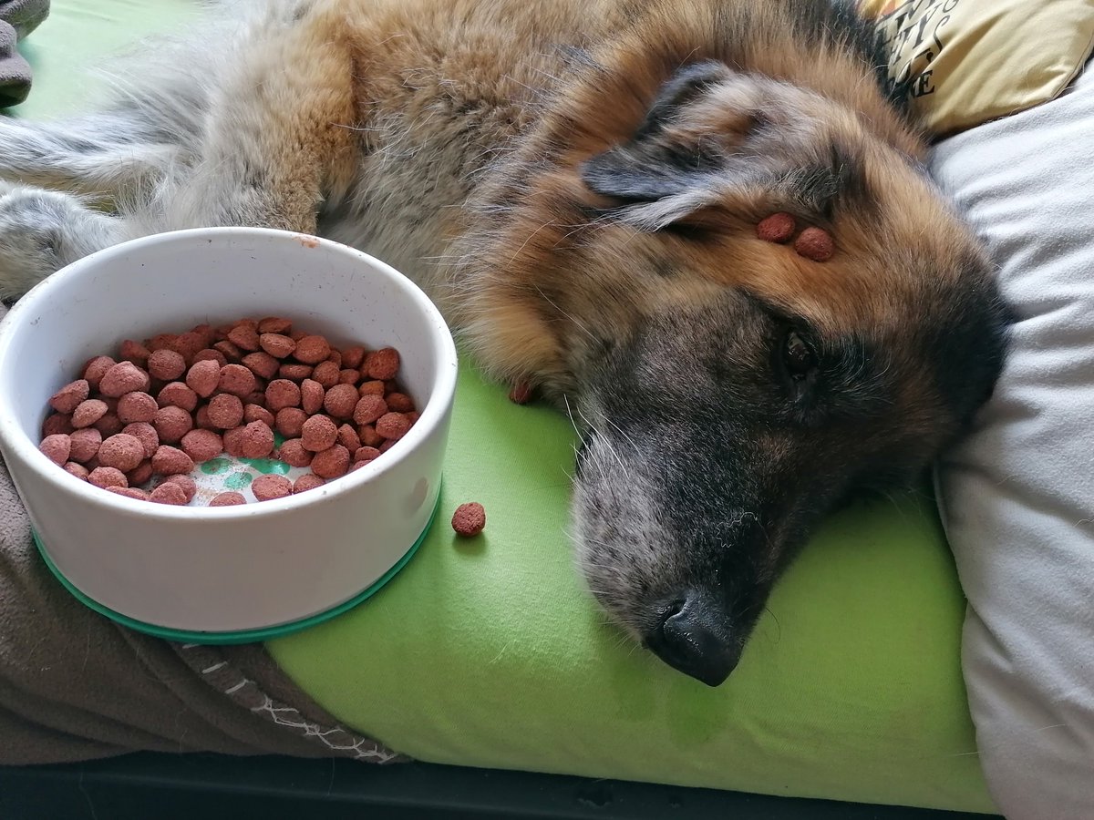 guess who ate well today! <3