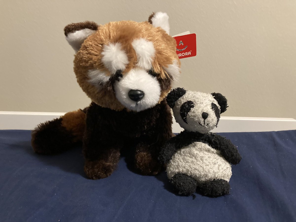 Adventure_Gauss's tweet photo. I’m trying to convince my human to watch Turning Red. I’ve recruited some help to my cause. #RedPanda #RedPixar #TurningRed #TurningRedMovie #pandaFriend https://t.co/KkYewaLYSh