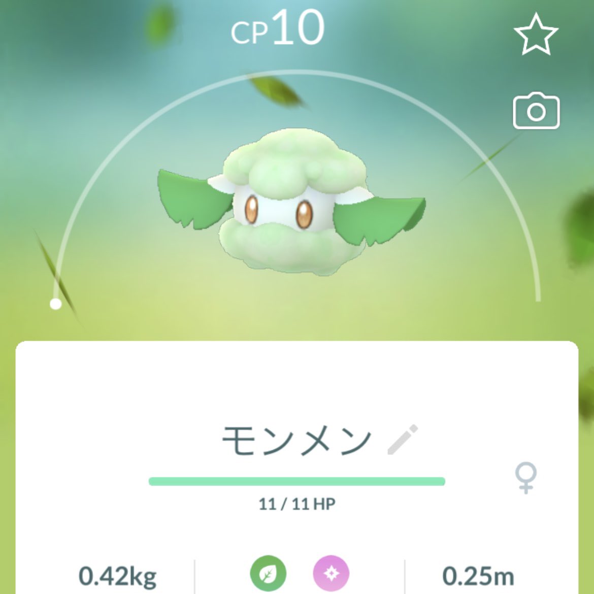 アメタマ Twitter Search Twitter