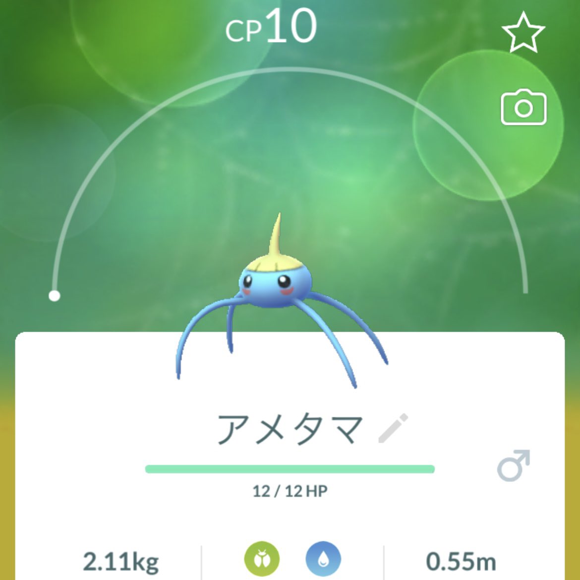 アメタマ Twitter Search Twitter