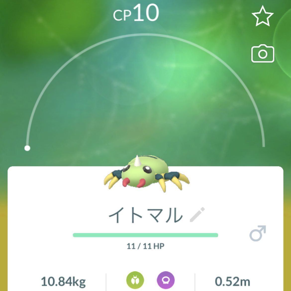 アメタマ Twitter Search Twitter