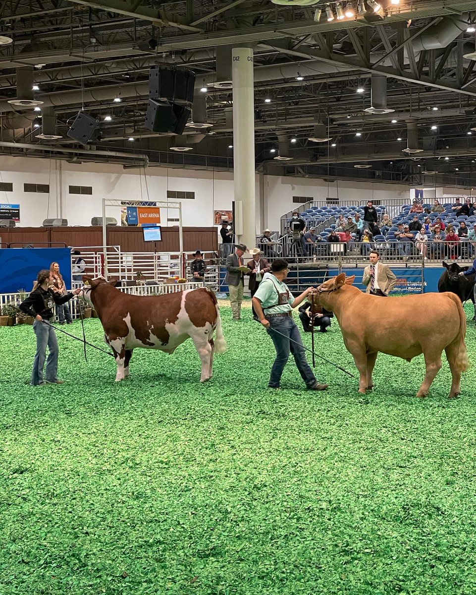 NimitzFFA's tweet photo. Congratulations @aaronhdz60 and Enzo placing second in the heavyweight Continental Steer class. This means they placed TOP 10 in the Continental division and made it to the Division Drive #IgniteFFA #AldineForward @AldineISD @AldineCTE @NimitzHS_AISD https://t.co/AlexPJ4aXT