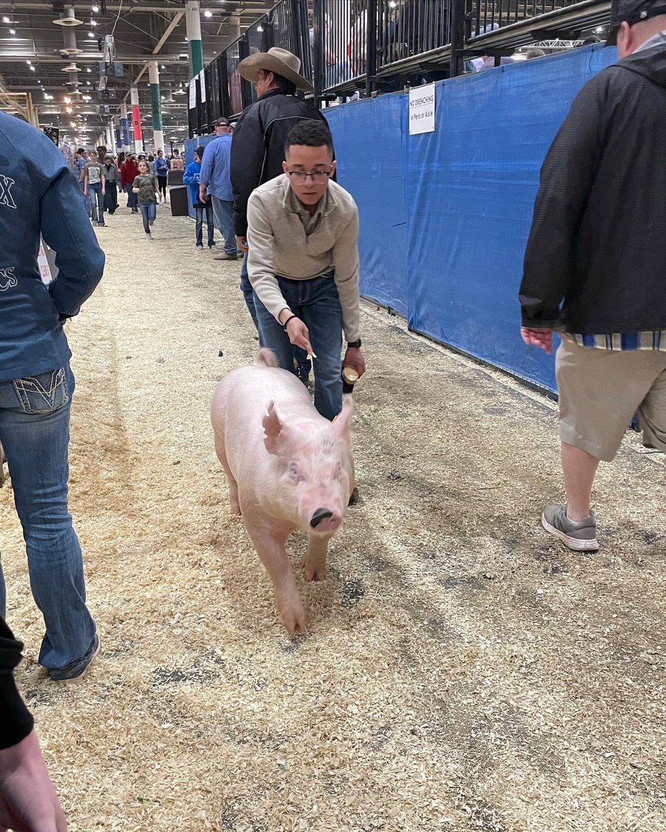 NimitzFFA's tweet photo. Congratulations @alexmratinez and Bud in the Lightweight Cross Division! It’s always been a dream to wrap up senior year on the green chips #IgniteFFA #AldineForward @AldineISD @AldineCTE @NimitzHS_AISD https://t.co/EbdKcaNMLX