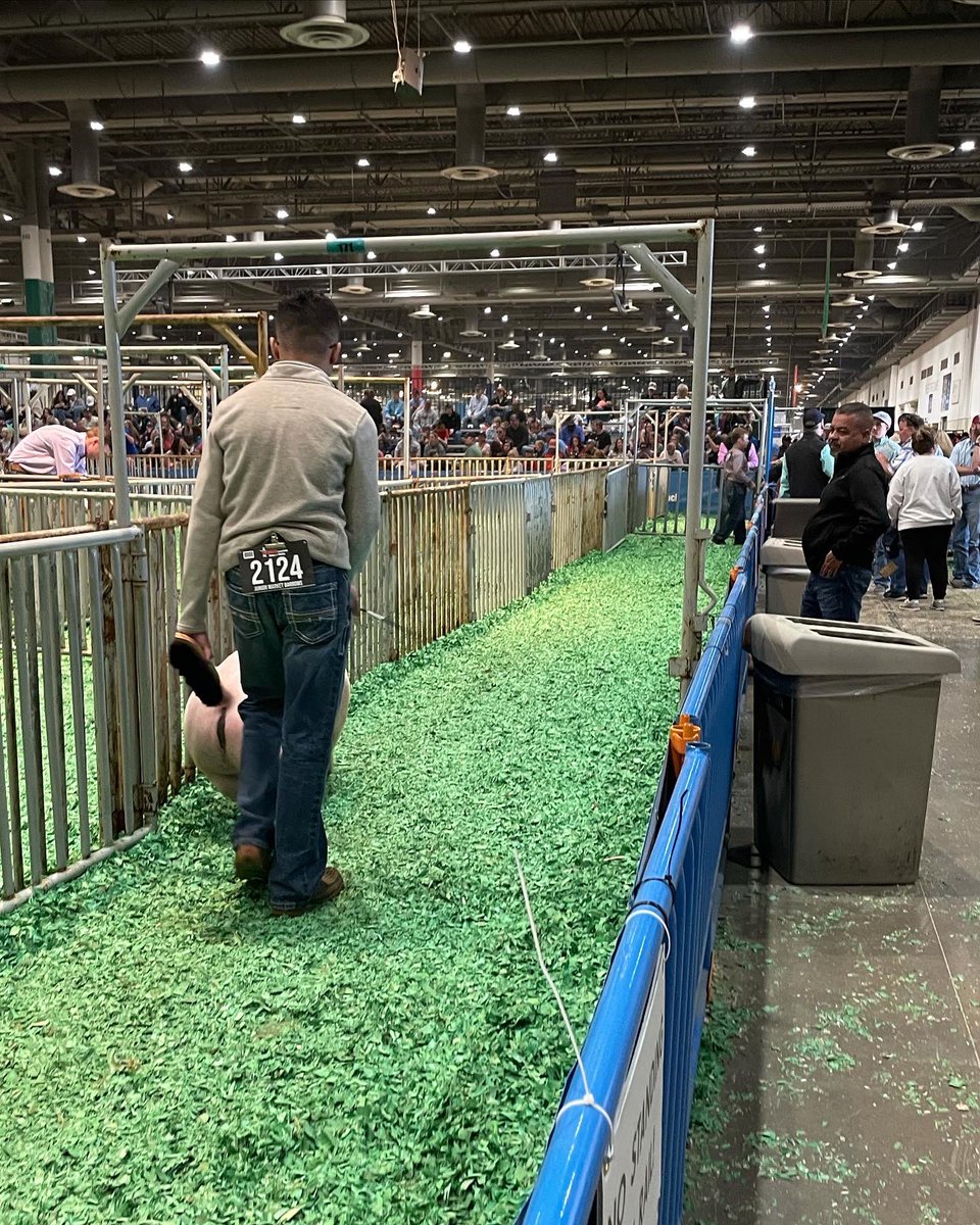 NimitzFFA's tweet photo. Congratulations @alexmratinez and Bud in the Lightweight Cross Division! It’s always been a dream to wrap up senior year on the green chips #IgniteFFA #AldineForward @AldineISD @AldineCTE @NimitzHS_AISD https://t.co/EbdKcaNMLX