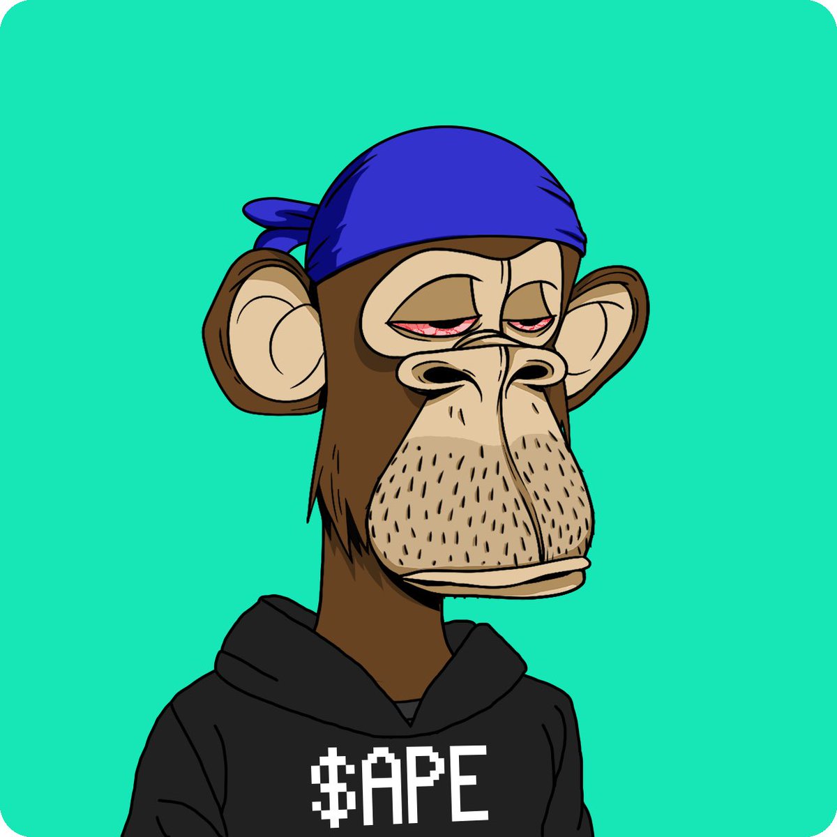 thenightfox_eth's tweet photo. Had to put my hoodie on my way to the lab, courtesy of @niftytailor 
LFG fam 🦍🙏🦍 https://t.co/nRMnUVOthl