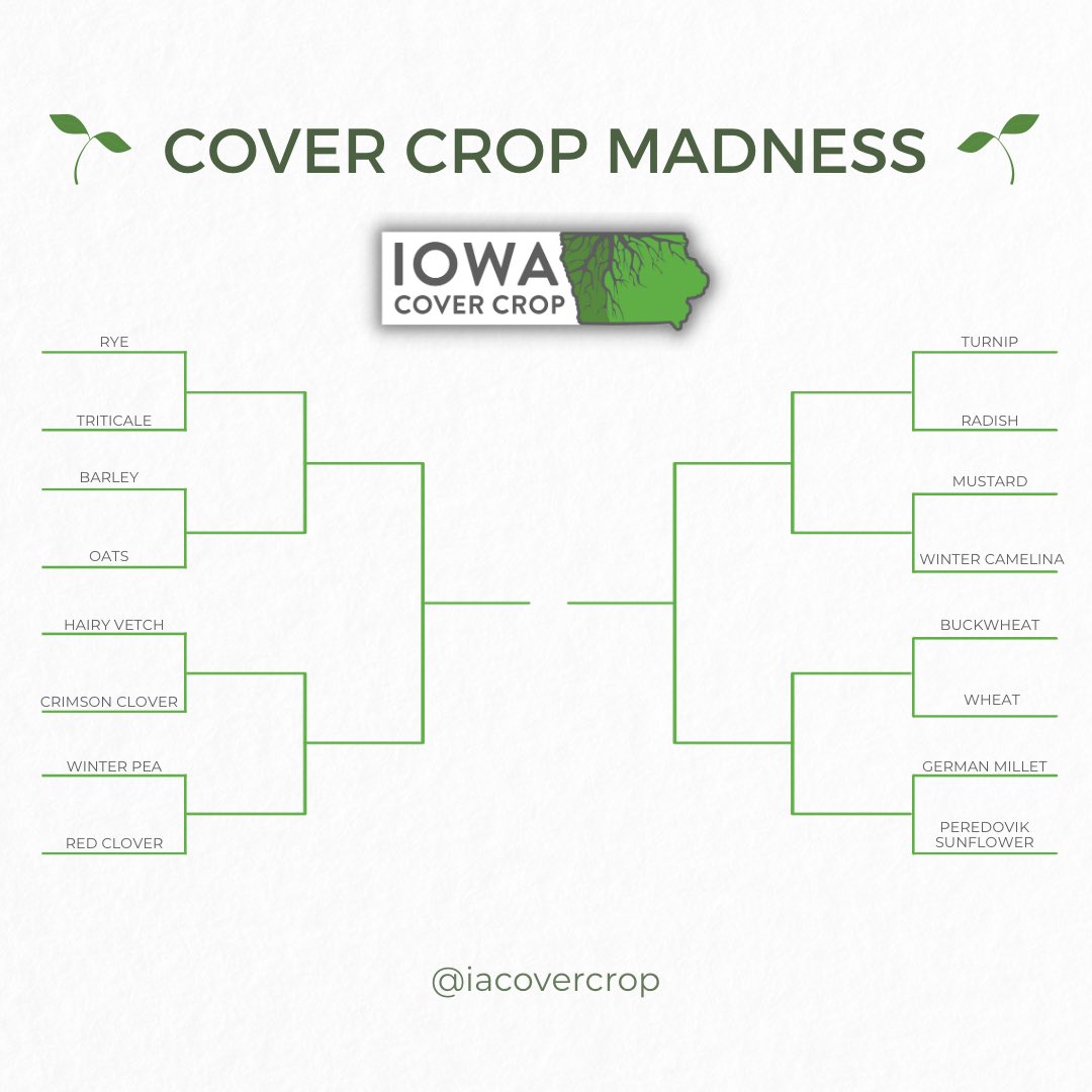 iacovercrop's tweet photo. Yeah, you’ve done #MarchMadness…

But let us introduce you to #CoverCropMadness🌱

Vote for your favorites on the road to crown Twitter’s favorite cover crop.

Voting starts tomorrow in the Grass Region between some stalwart crops. https://t.co/KeJfFfTXPi