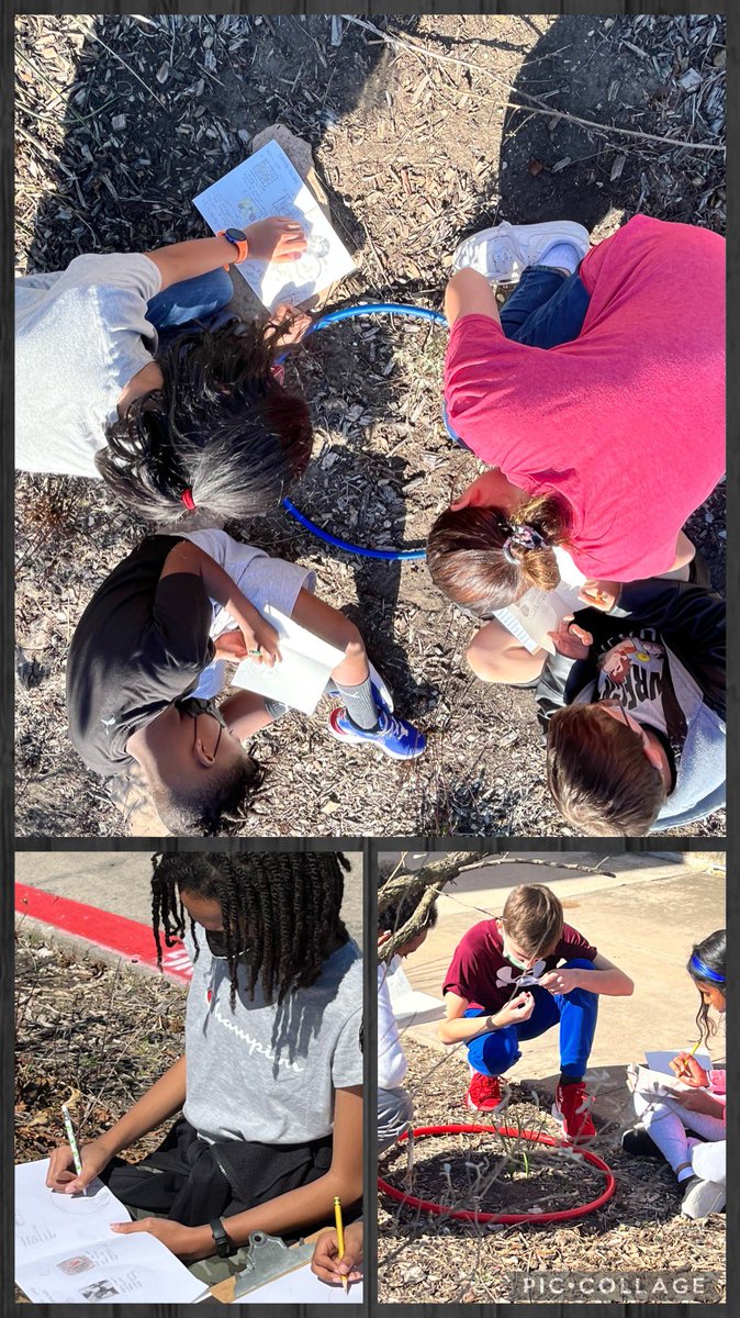 Bobcat5703's tweet photo. Exploring the Land! Fun getting to teach science again. Today we investigated what’s in our own backyard. @StrongBobcats @PISDLearns @pisdoutdoor #camponcampusbeverly https://t.co/e3AdMkuzhb