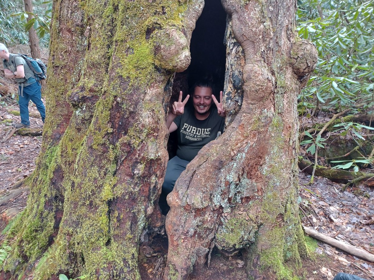 QMacrocarpa22's tweet photo. Day 3 of Disturbance Ecology in the GSMNP:  More salamanders, old growth, and red maple national champ. (1 of 2) #DisturbedAtPurdue @PurdueFNR https://t.co/OCBJfKjJ6B