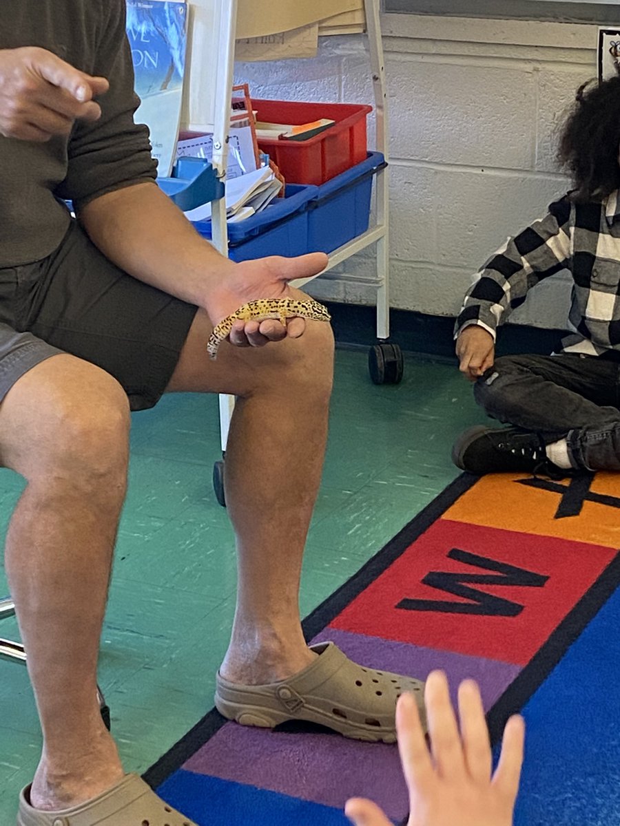 Alyssa Formisano tweet media