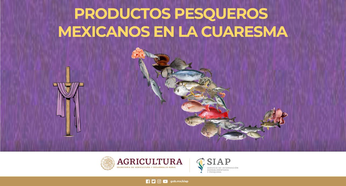 DGSIAP_Mx's tweet photo. ¿Sabías qué?... En los meses que tiene lugar la #Cuaresma, los #pescadores mexicanos obtienen en promedio la cuarta parte del volumen total anual.
Lee:https://t.co/Jb7JDYTGKS
#DelAguaATuMesa
#ComeRicoComeSano https://t.co/c9HKYqR9I8