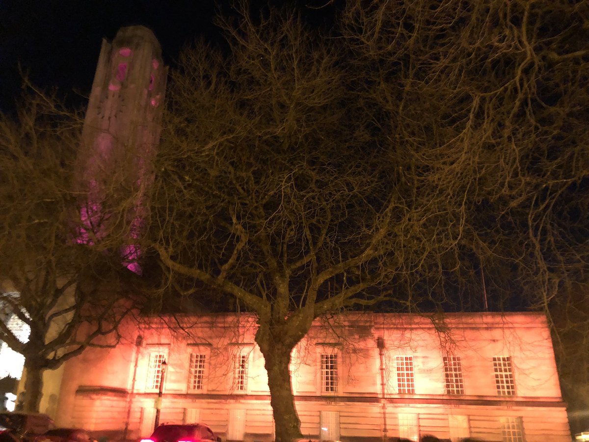 Egija_YMCA's tweet photo. Thank you @SwanseaCouncil for lighting @TheBrangwyn in @YMCASwansea Young Carers colours today to celebrate #YoungCarersActionDay 🎉 https://t.co/NzFA6MW2cs