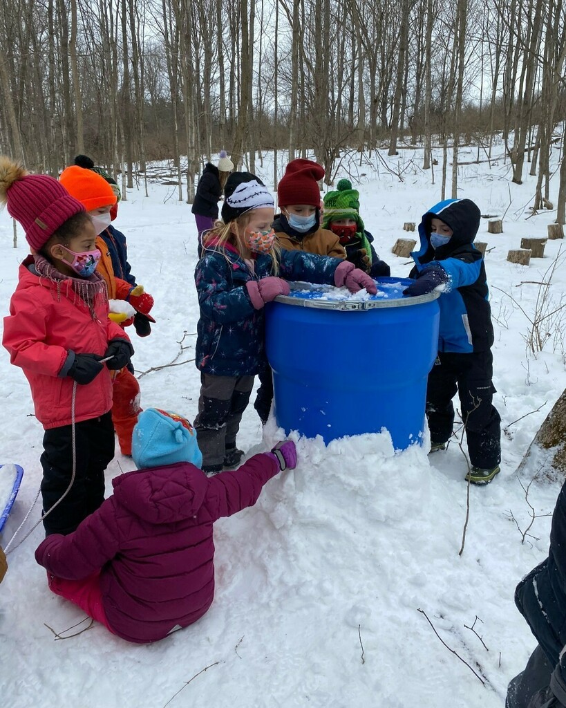 RCParkerSchool's tweet photo. Parker's Kindergarten class has been busy collecting maple sap! They have quite the haul and will attempt to boil their sap this Friday in Science with Leiana! #NatureSchool #OutdoorLearning #ProjectLearning #ScienceFun #MapleSyrup #WildernessWednesday https://t.co/iJVOJ0e6K1 https://t.co/SOsGJu2cbz