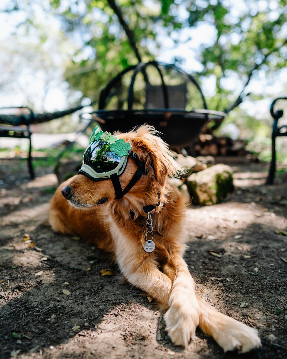 Aspen + Kelsie tweet media