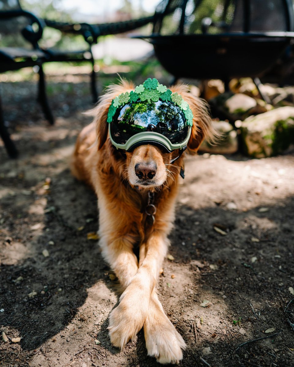 Aspen + Kelsie tweet media