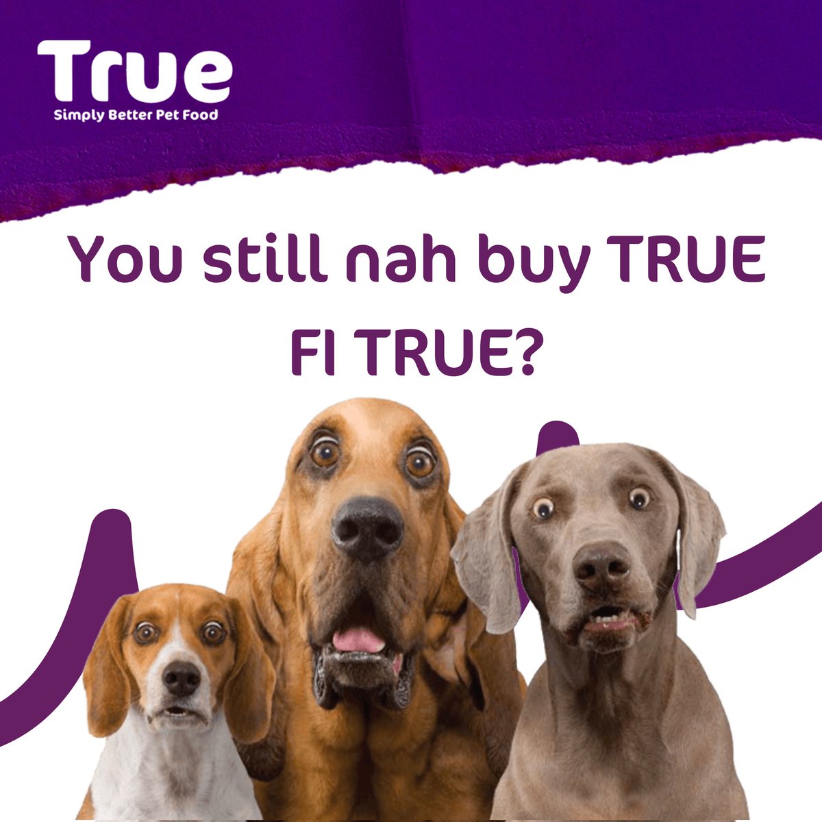 truepetfoods_'s tweet photo. With all these vitamins and minerals? 😟😟
#truepetfoodjm #trueforyourdog #truenation #dognutrition #doghealth #dogsupplements #dogvitamins https://t.co/5VEmP5Y9sQ