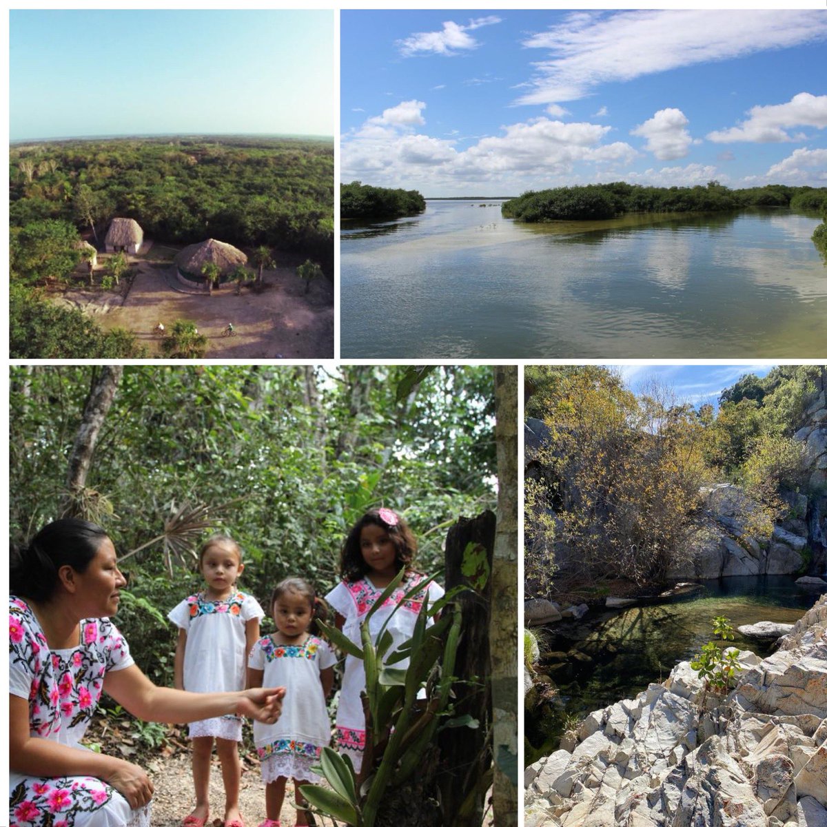 TorrucoTurismo's tweet photo. Para cumplir con el #ODS 14 contamos con el programa #Kuxatur enfocado en conservación y aprovechamiento sustentable de la biodiversidad en el sector turismo, con énfasis en ecosistemas costeros. Cuenta con financiamiento del Fondo para el Medio Ambiente Mundial (GEF) por 7.4 MDD https://t.co/lcHityY4ea