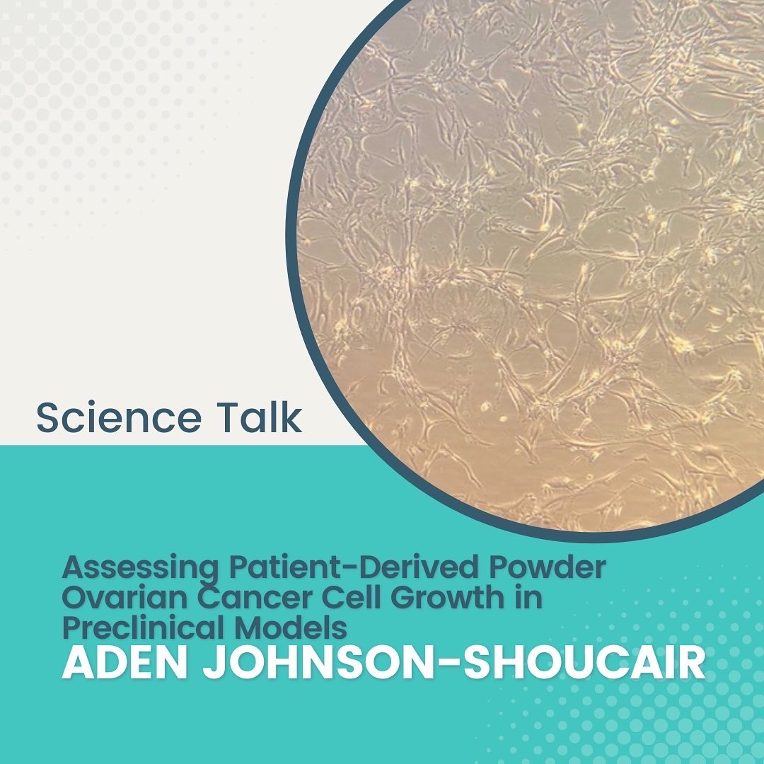 SpringLabNU tweet media