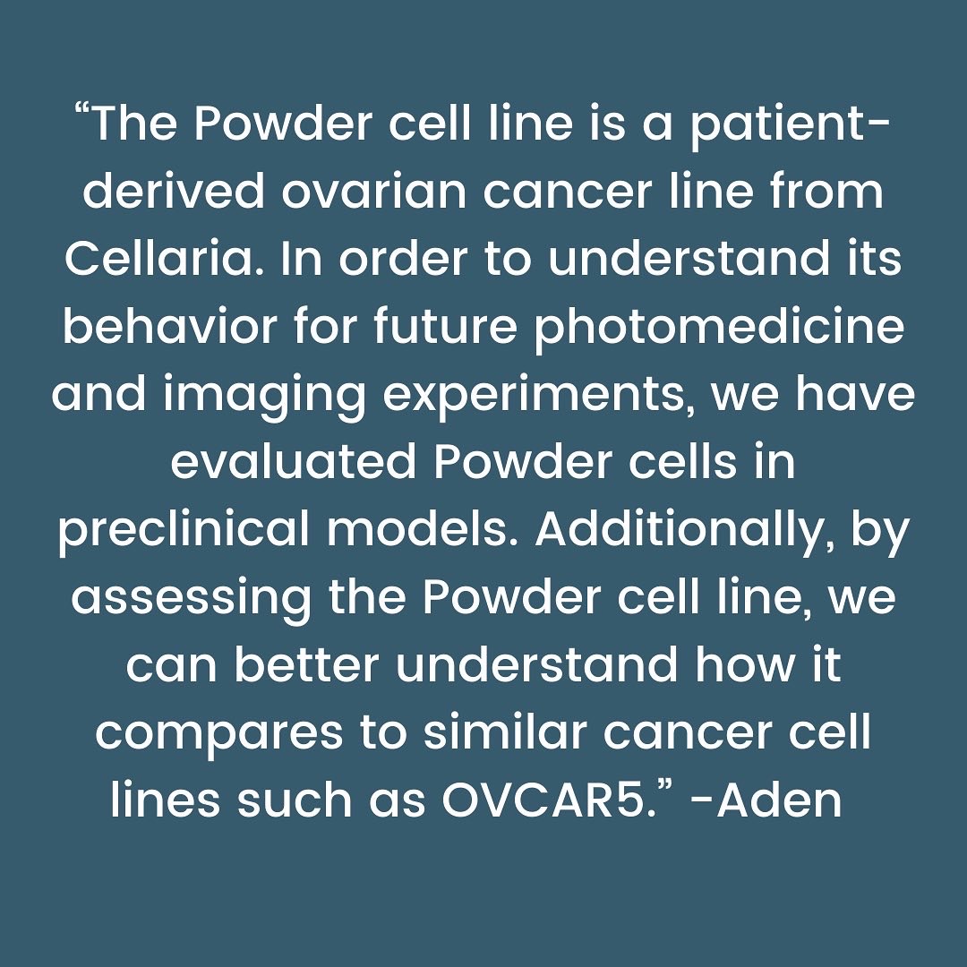 SpringLabNU tweet media