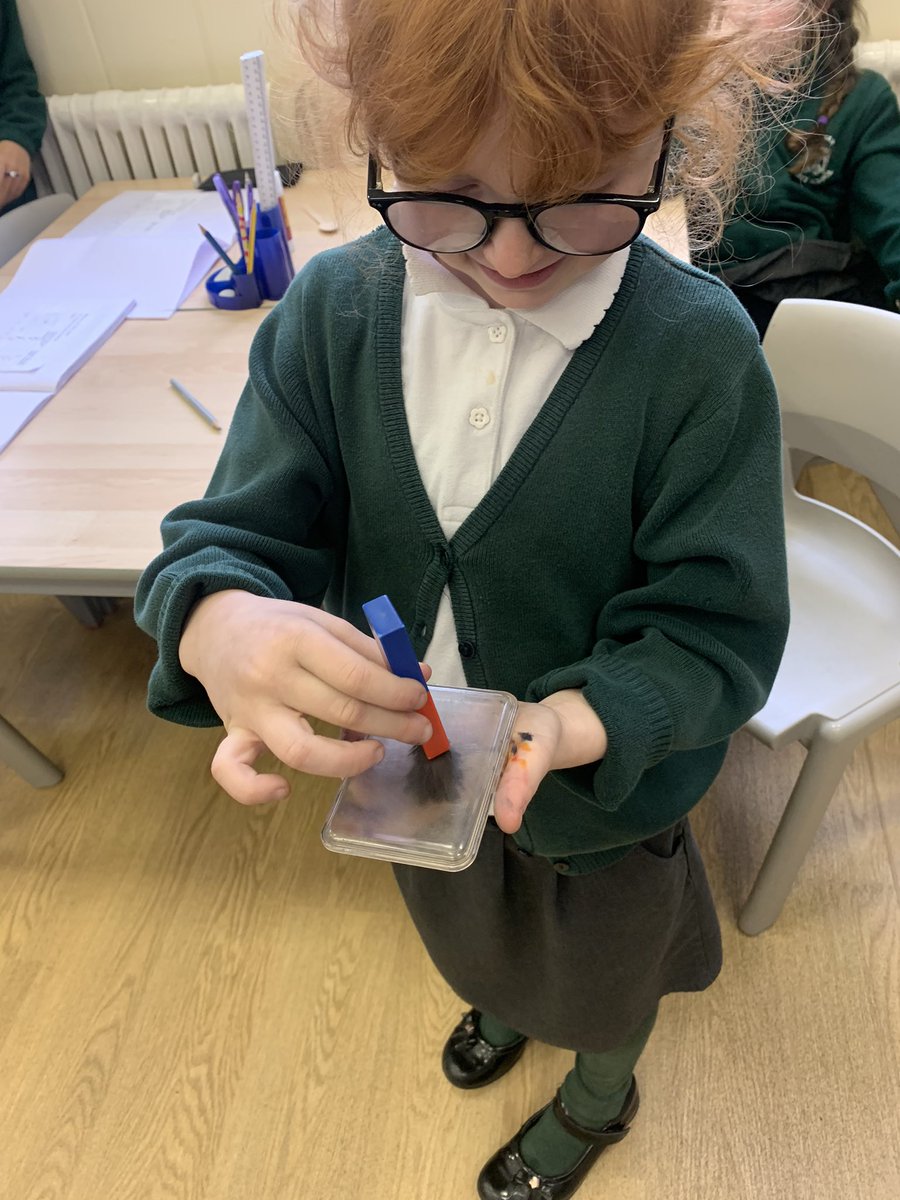 CFS_Falcons's tweet photo. As Scientists, Falcon class predicted whether several materials were magnetic. They then tested the materials and presented their results. https://t.co/J9SxzO9Hl5