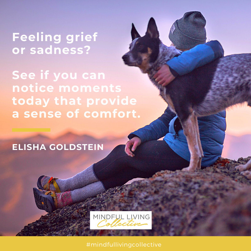 Mindful_Living's tweet photo. When you're feeling grief or sadness, remind yourself that the feelings will come and go, and notice what brings your comfort. 

#MindfulLiving #Grief #Sadness #PandemicSupport #MindfulLivingCollective https://t.co/InvfUgPu3Q