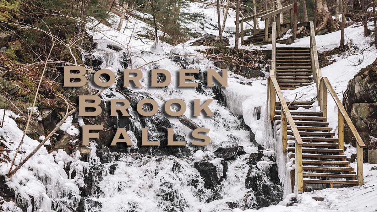 Cattle Dogs & Company tweet media