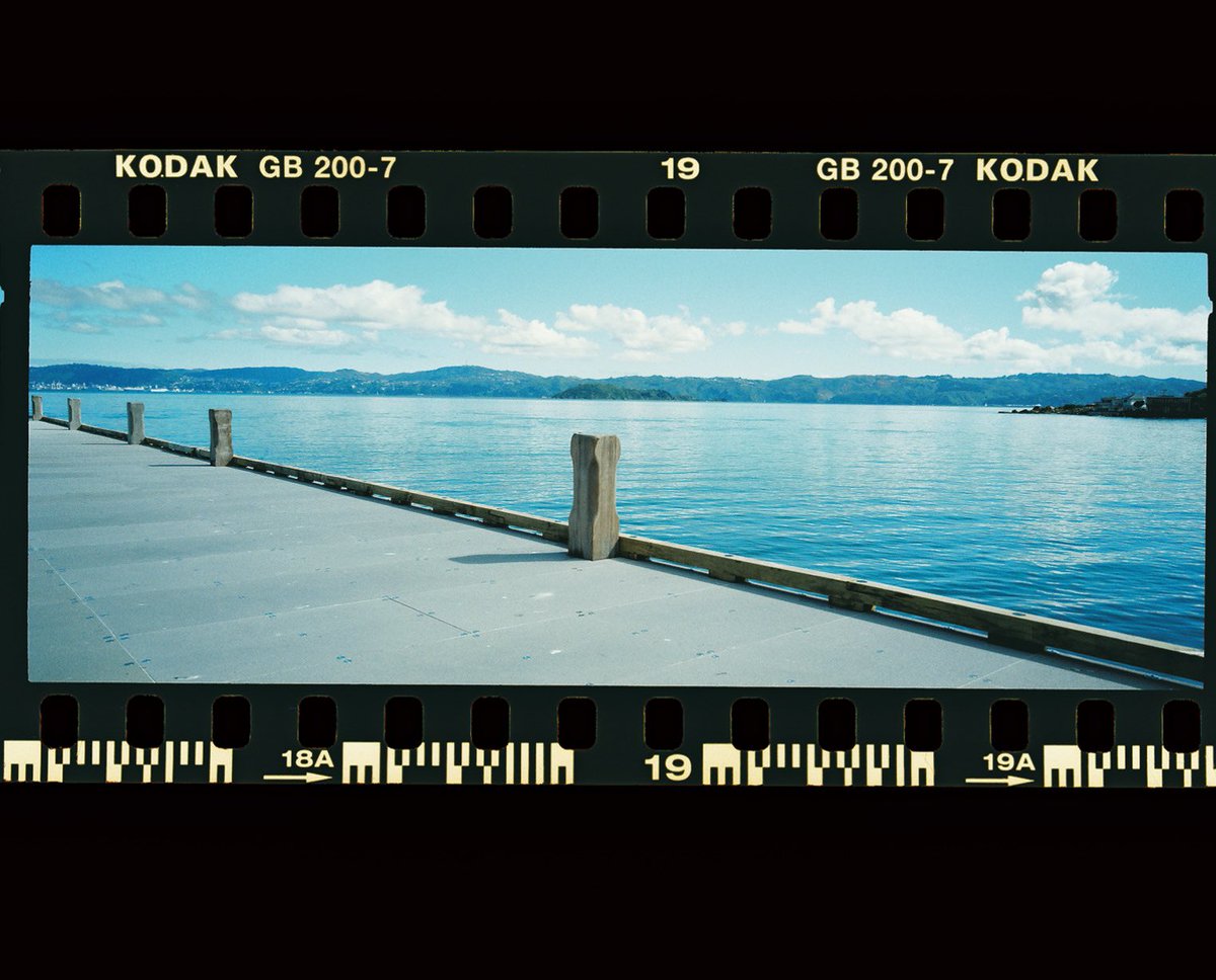 Photos I made with a panoramic film camera.